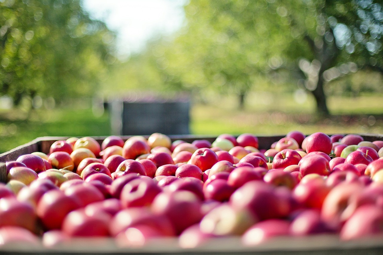 Agriculture technology Future